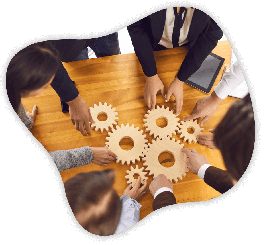 Why opt for Sanguine Informatics’ Ellucian® services