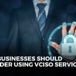 Why should businesses consider vCISO Services